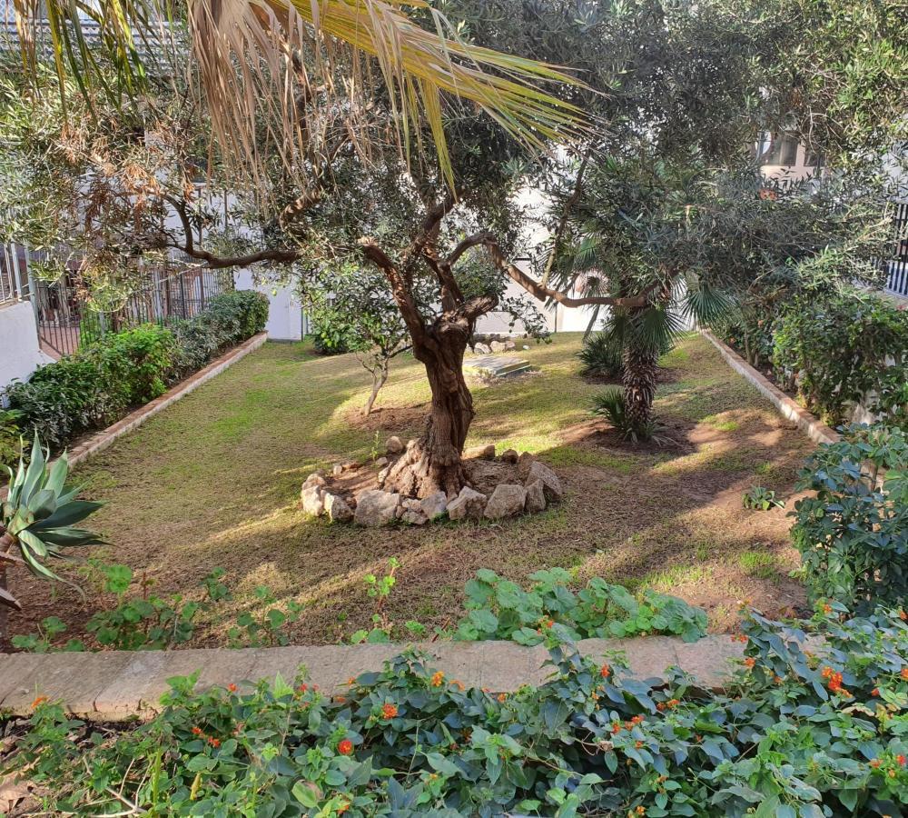 Apartamentos Mediterraneo マルベーリャ エクステリア 写真